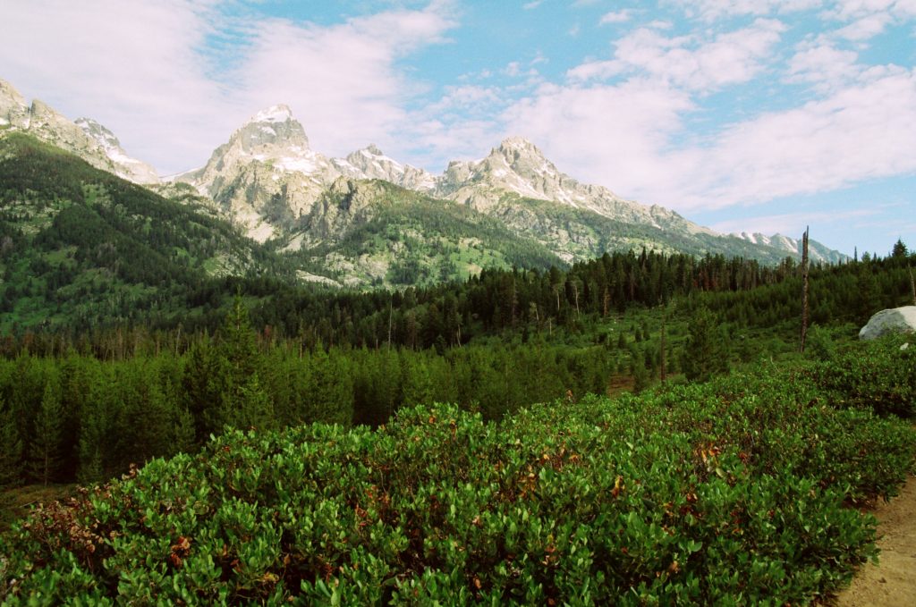 TIL the Teton mountains were named by French trappers who thought