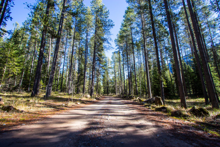 Wyoming's National Forests - The Other Parks