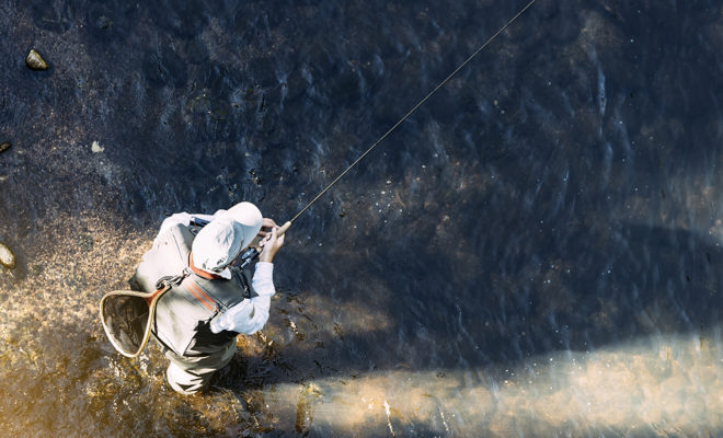 Wyoming Fly Fishing: Finding The Best Fly Fishing In Wyoming